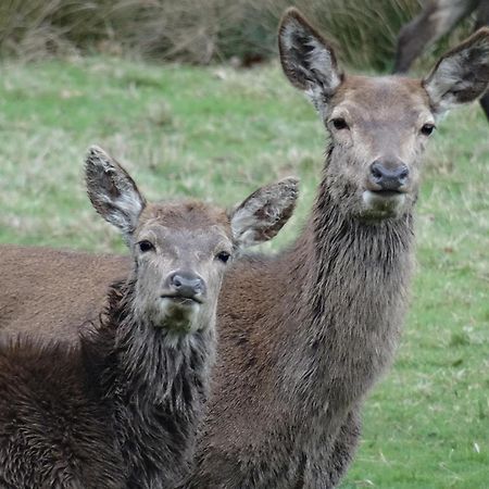 Exmoor Bnb In Withypool On Two Moors Way מראה חיצוני תמונה