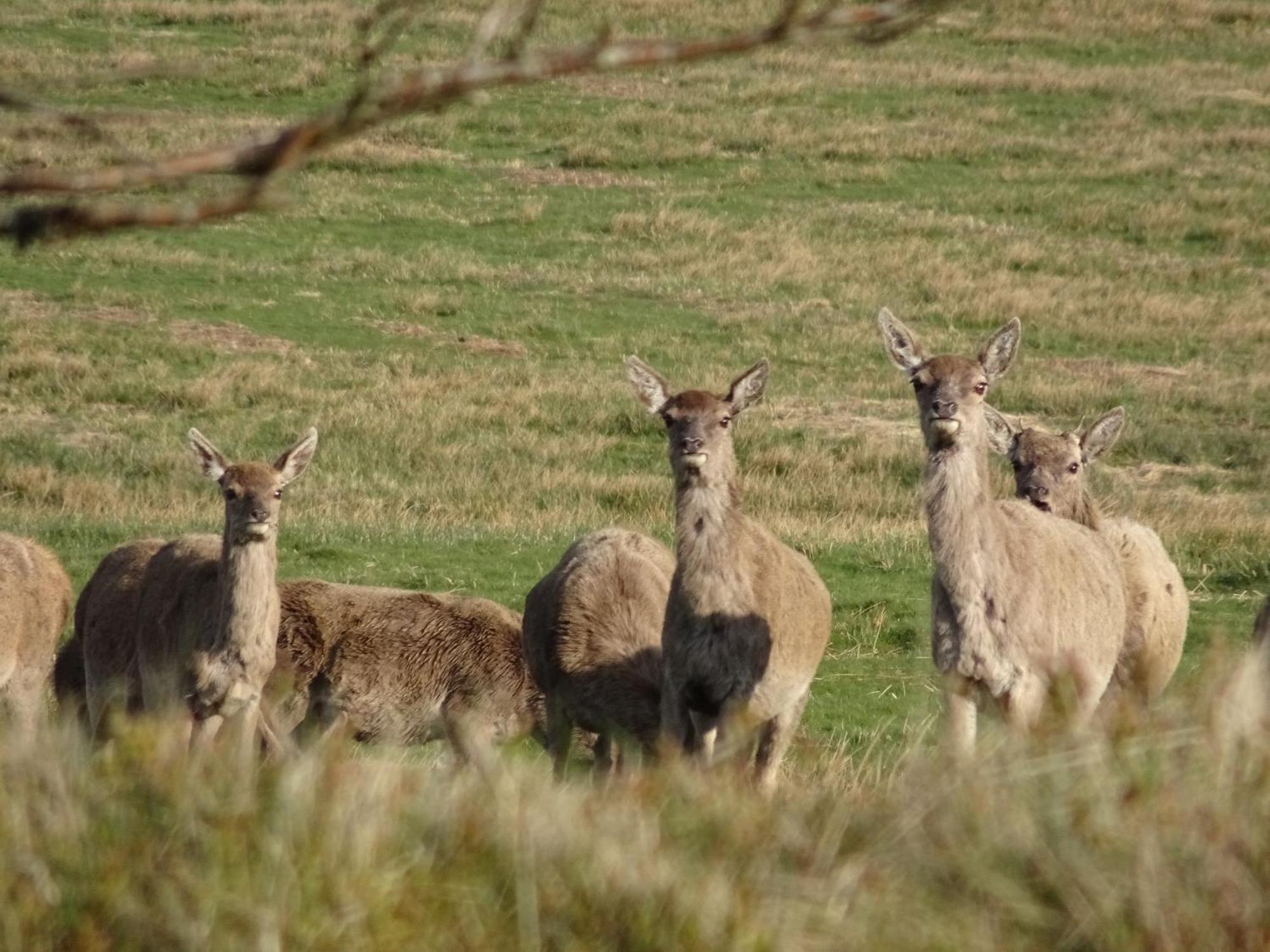 Exmoor Bnb In Withypool On Two Moors Way מראה חיצוני תמונה