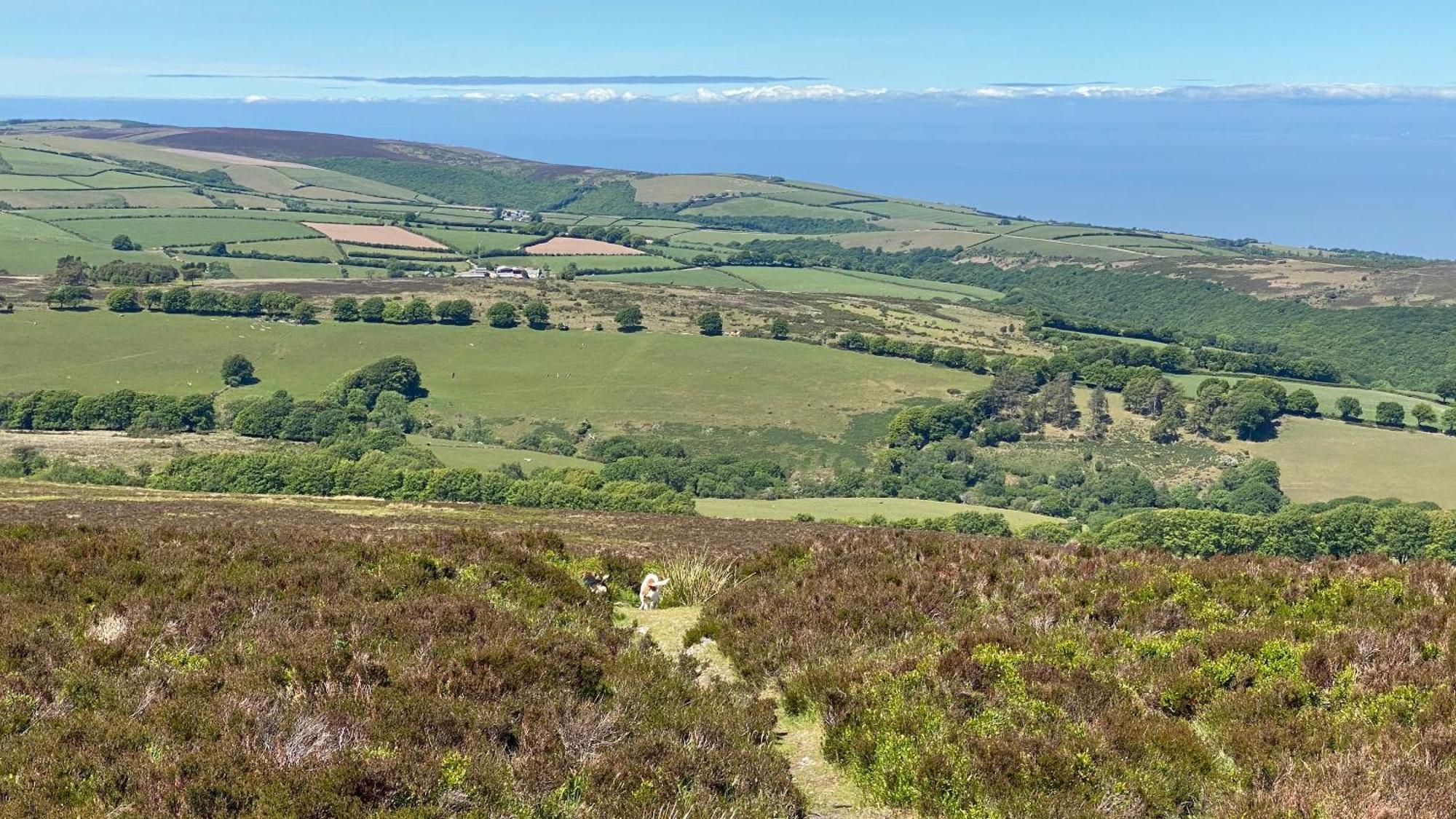 Exmoor Bnb In Withypool On Two Moors Way מראה חיצוני תמונה